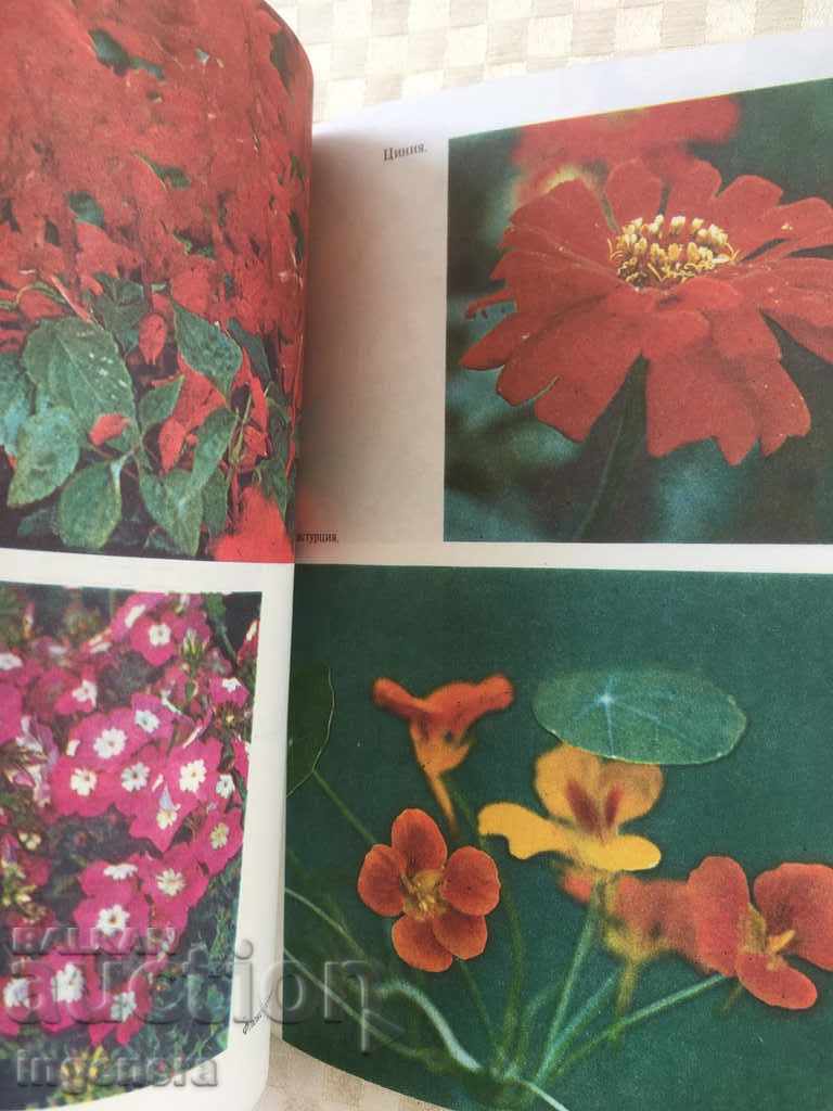 BOOK-GUIDE FOR FLOWERS-RUSSIAN-1983 - 5 BOOK-GUIDE FOR FLOWERS-RUSSIAN-1983 - 5