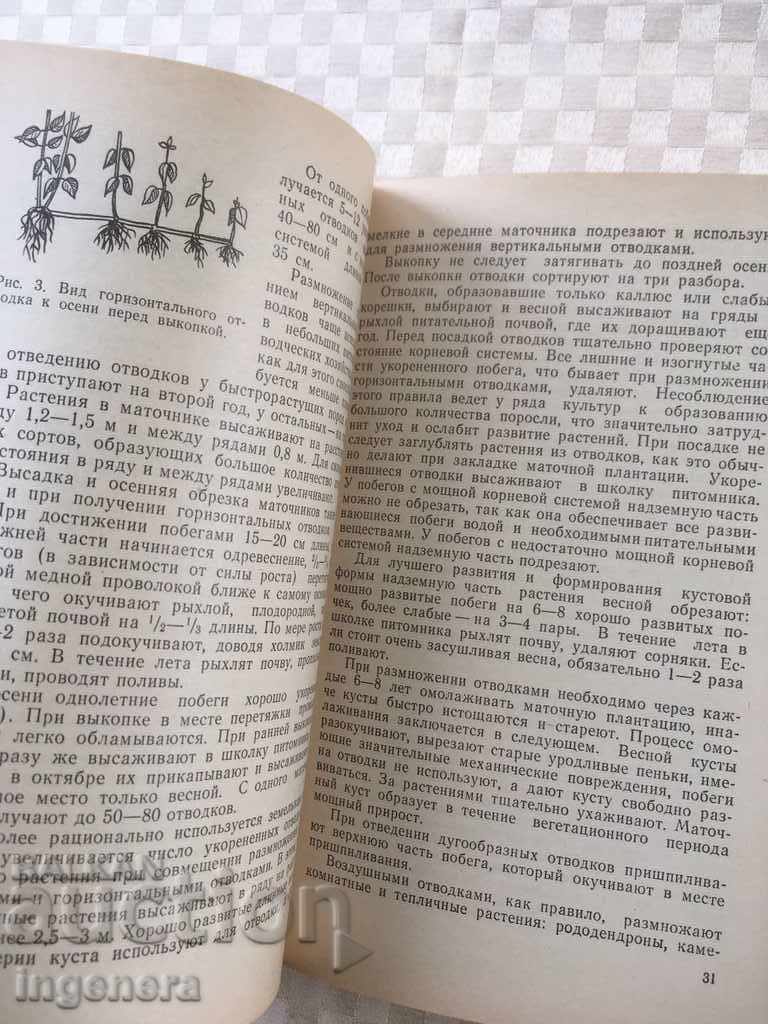 BOOK-GUIDE FOR FLOWERS-RUSSIAN-1983 - 6 BOOK-GUIDE FOR FLOWERS-RUSSIAN-1983 - 6