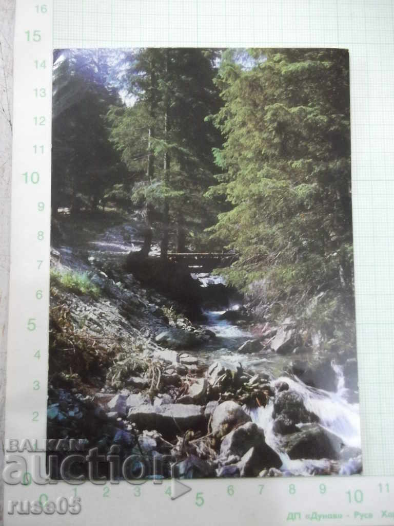 Κάρτα "Borovets - River * Bistritsa *"