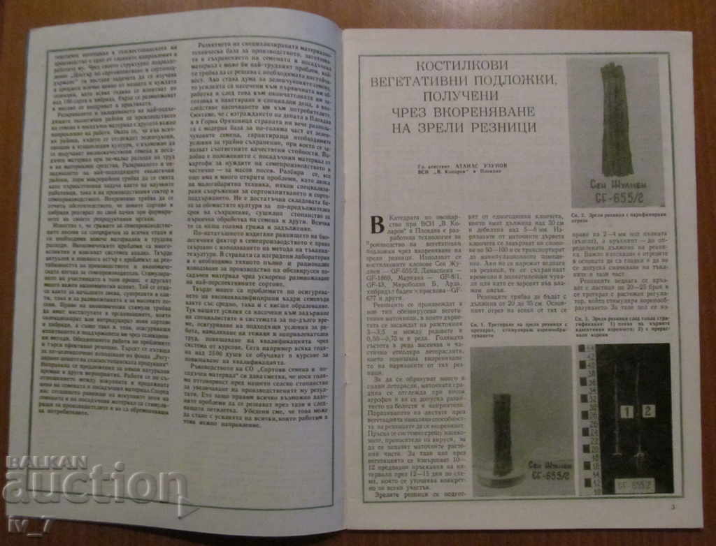 MAGAZINE-FRUIT GROWING, GARDENING AND CANNING INDUSTRY-BR 5,1988 with price 1.99 BGN | € 1.02 MAGAZINE-FRUIT GROWING, GARDENING AND CANNING INDUSTRY-BR 5,1988 with price 1.99 BGN | € 1.02