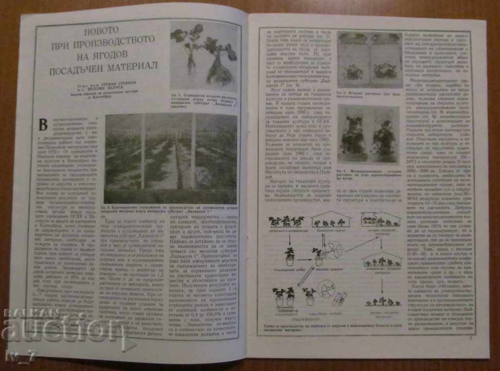 Auction MAGAZINE-FRUIT GROWING, GARDENING AND CANNING INDUSTRY-BR 5,1988 Auction MAGAZINE-FRUIT GROWING, GARDENING AND CANNING INDUSTRY-BR 5,1988