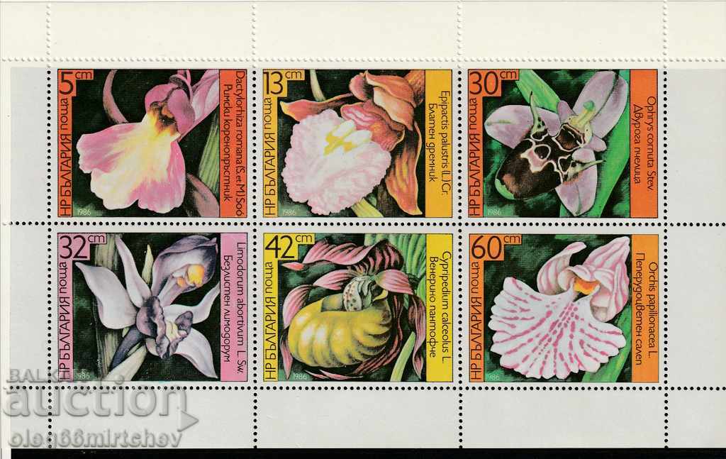 Bulgaria 1986 Orchid Flora BC№3482! pure ml