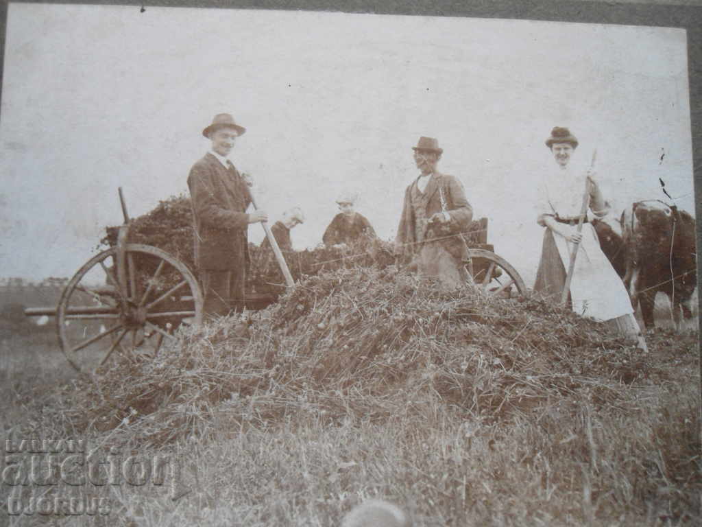 Old photo, cardboard with price 5.00 BGN | € 2.56 Old photo, cardboard with price 5.00 BGN | € 2.56