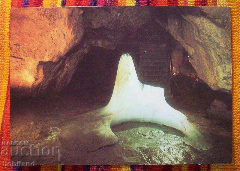 Peștera Ledenika