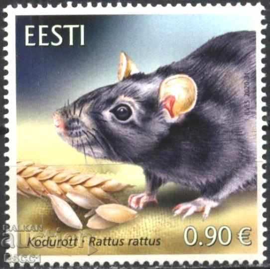 Καθαρή μάρκα Fauna Rat 2020 από την Εσθονία