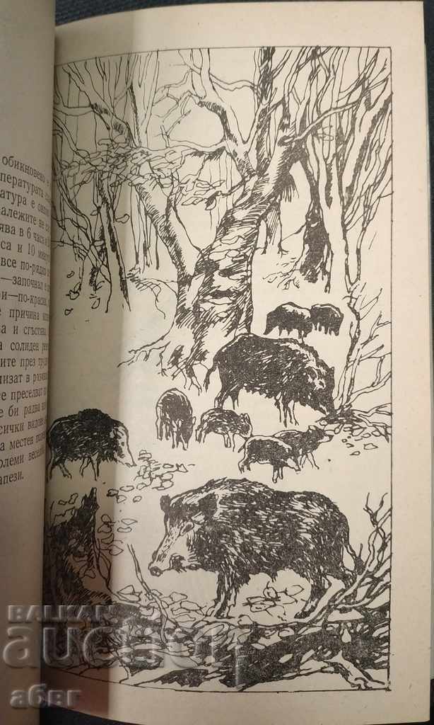 Licitație Pentru vânător și pescar, autorul Chavdar Angelov