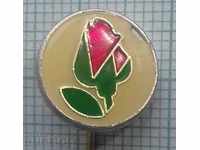10227 Badge - BSP Bulgarian Socialist Party