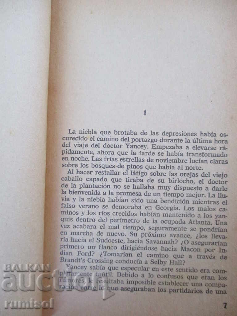 Auction  Lorena - Frank G. Slaughter