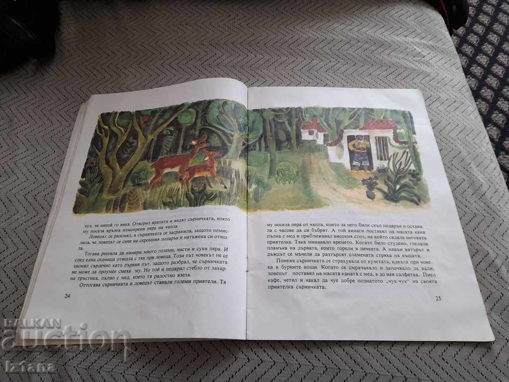Auction Book Tales from the rainforest Auction Book Tales from the rainforest