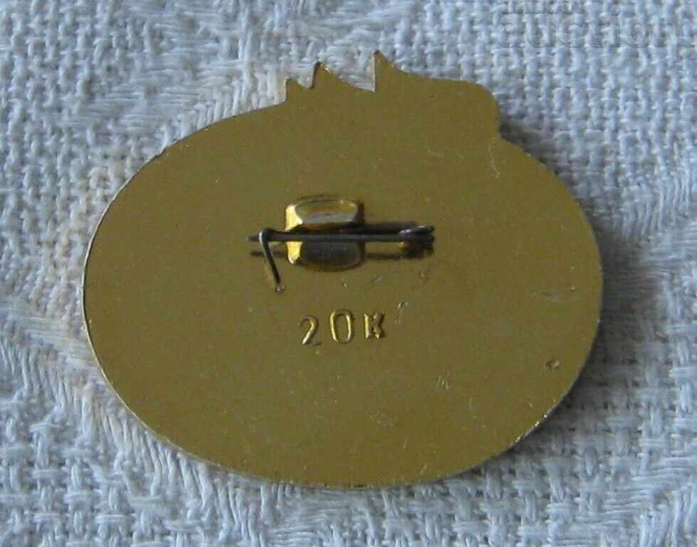 KUNGUR ICE CAVE RUSSIA SPELEOLOGY BADGE with price 5.00 BGN | € 2.56 KUNGUR ICE CAVE RUSSIA SPELEOLOGY BADGE with price 5.00 BGN | € 2.56