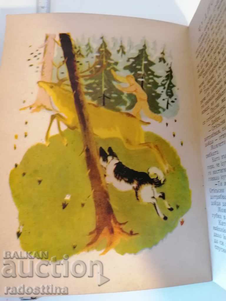 Аукцион Чудното огледало N 61 Аукцион Чудното огледало N 61