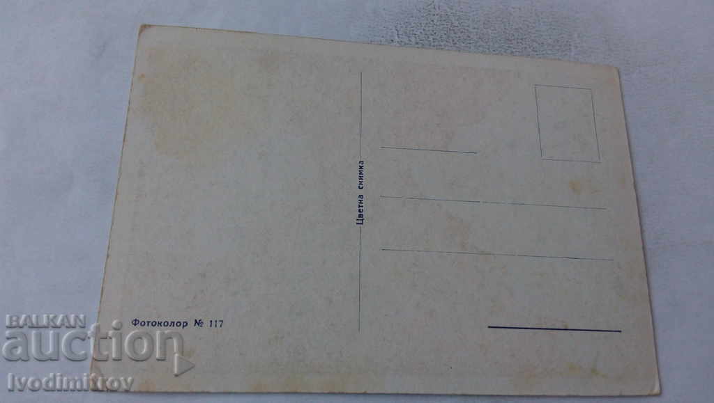Postcard Photocolor № 117 with price 1.25 BGN | € 0.64 Postcard Photocolor № 117 with price 1.25 BGN | € 0.64