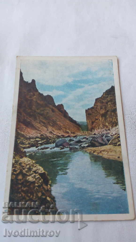 Postcard Photocolor № 117