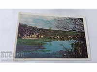 Carte poștală Ofce lângă râu Photocolor № 121