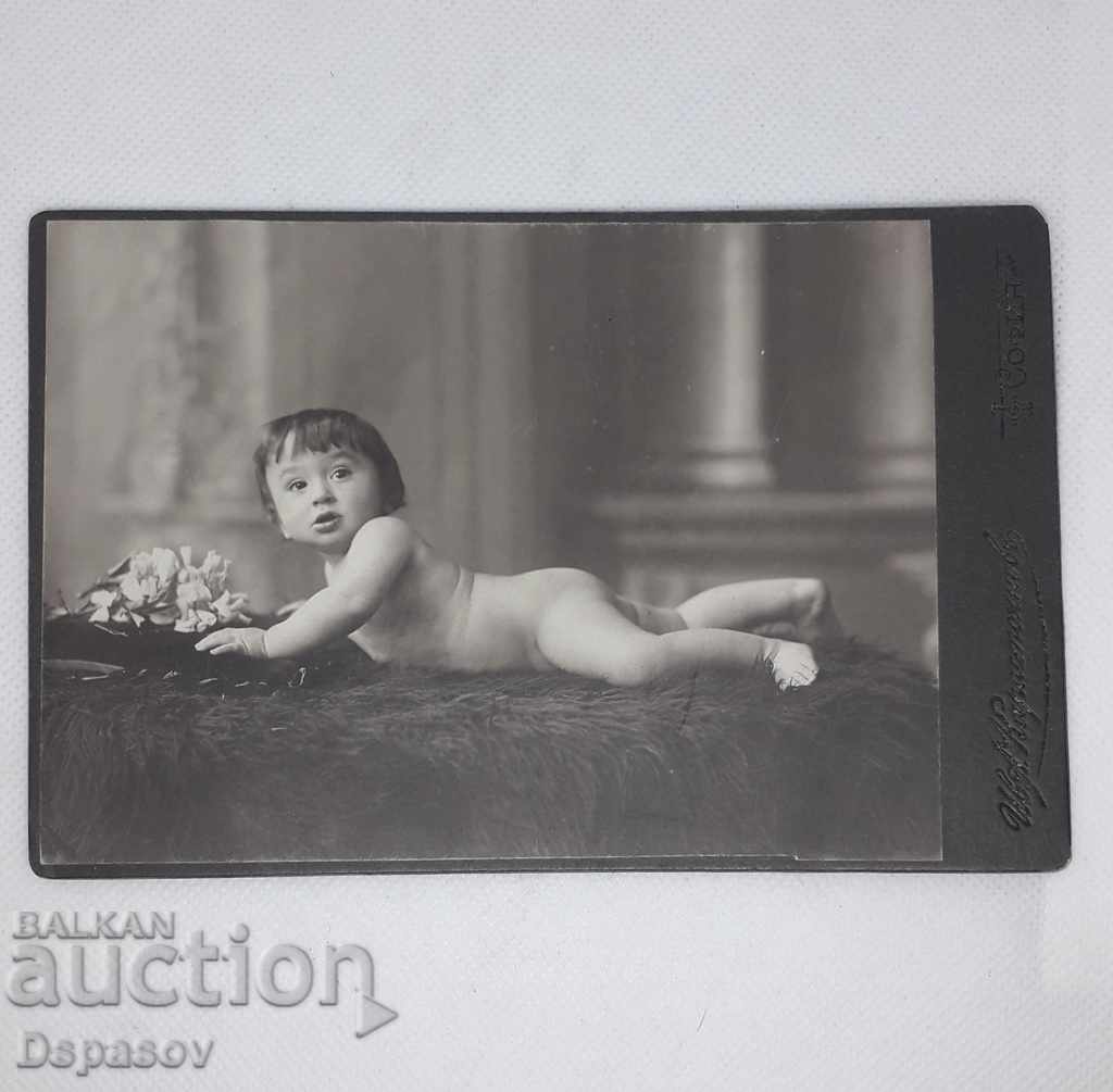 Court Photographer Photo Hard Cardboard Child Photo