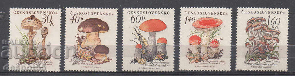 1958. Czechoslovakia. Mushrooms.