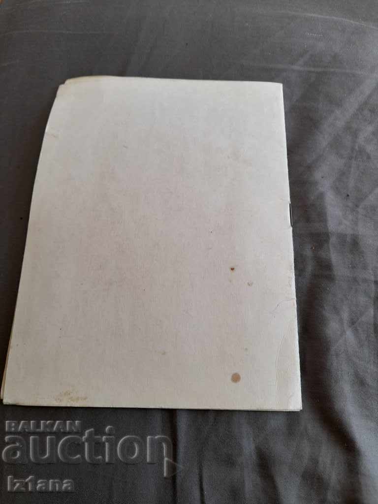 Auction Operating instructions Electric grill Vihren Auction Operating instructions Electric grill Vihren