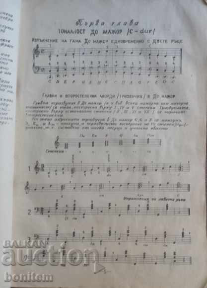 Παράδοση Μαθήματα ακορντεόν για δασκάλους σε παιδικές σχολές μουσικής Παράδοση Μαθήματα ακορντεόν για δασκάλους σε παιδικές σχολές μουσικής