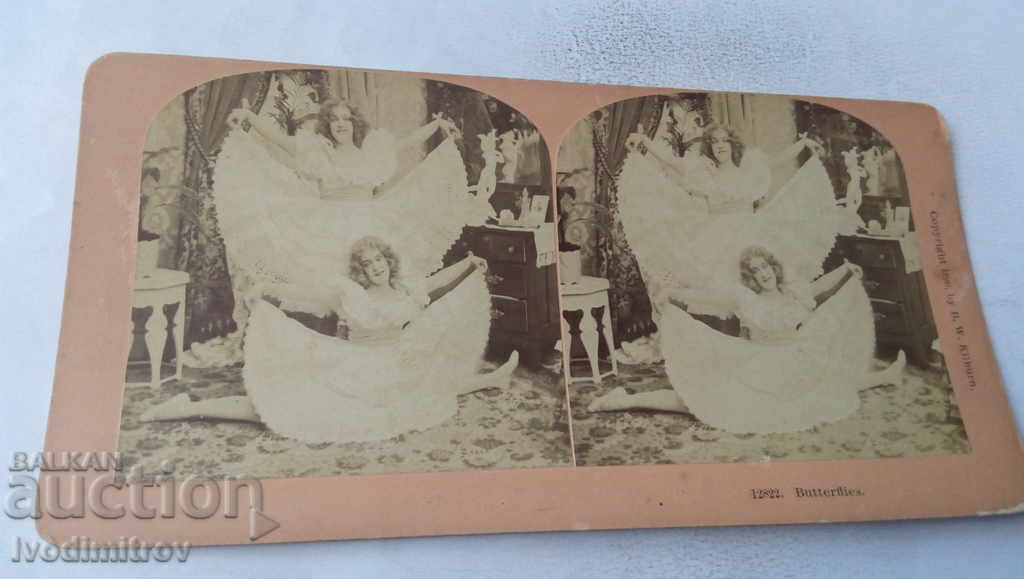 Card stereo Butterflles