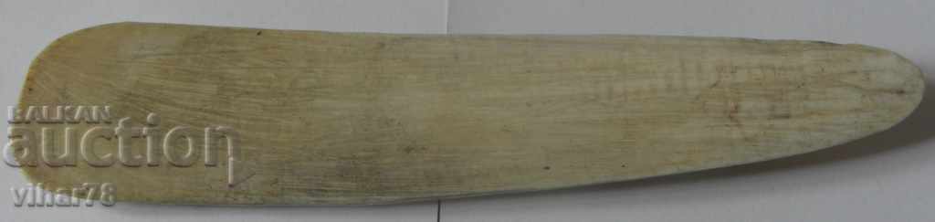 Old bone shoe - 5 Old bone shoe - 5