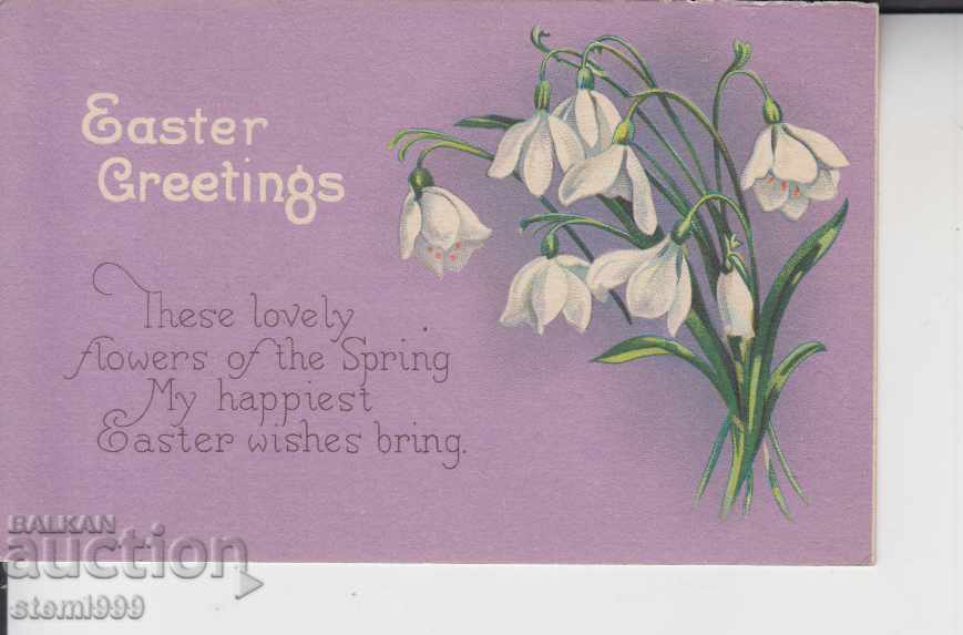 Postcard flowers