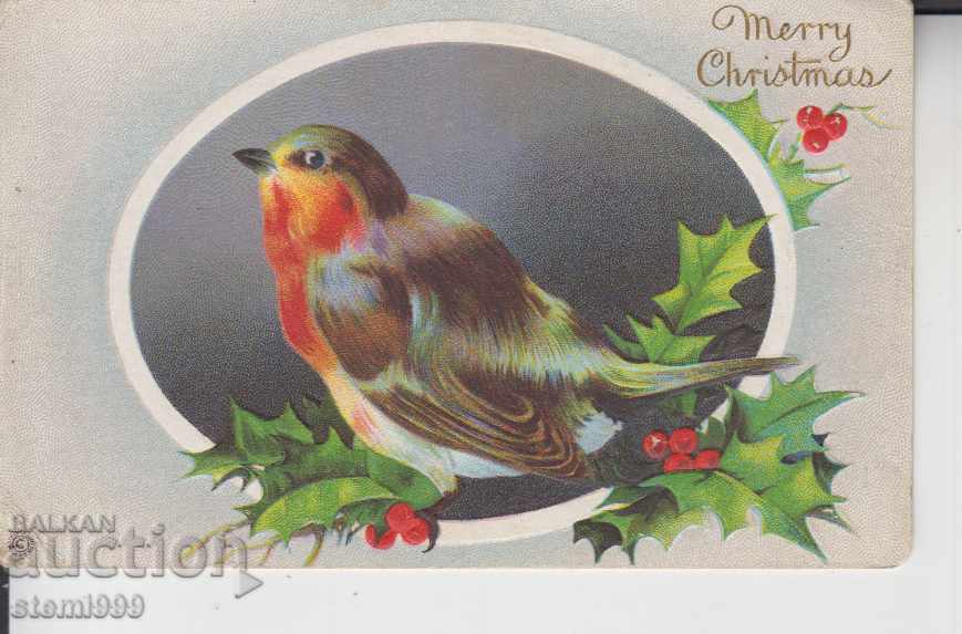 Пощенска картичка Птици
