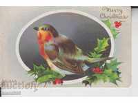 Πουλιά καρτ ποστάλ