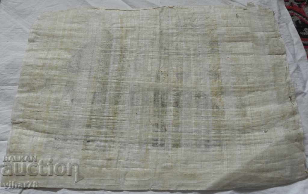 papyrus - 5 papyrus - 5