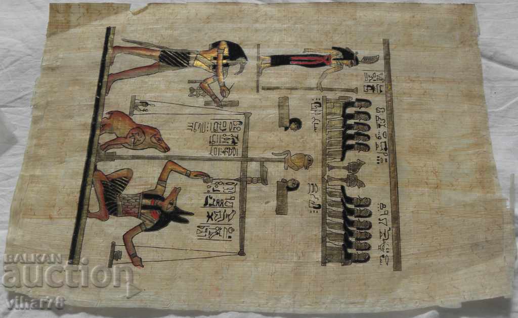 Delivery of papyrus Delivery of papyrus