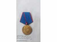 Medalia de merit Detașamente de lucrători voluntari