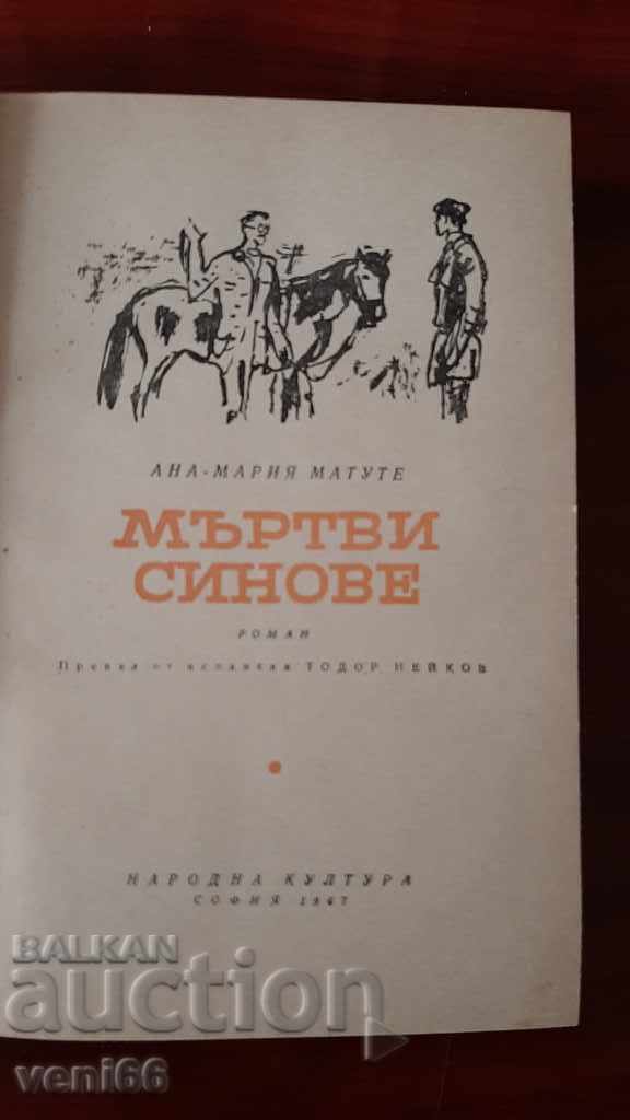 Delivery of Dead Sons - Anna-Maria Matute