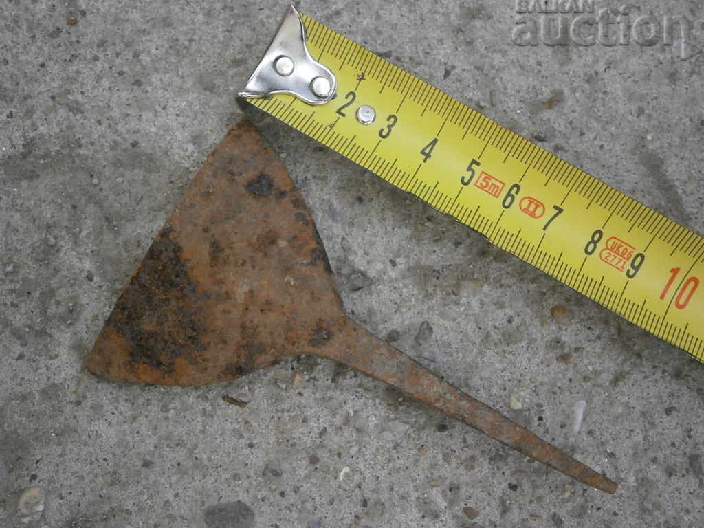 Auction  Fungus, fungus, fungus, fungus, wrought iron primitive