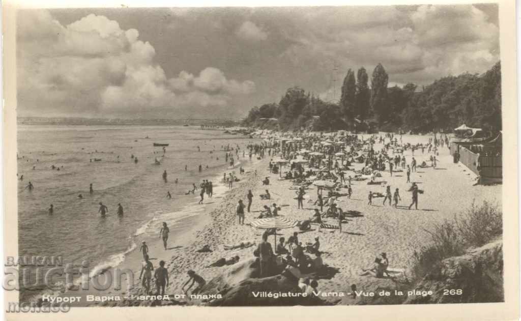Postcard - Varna Resort / Druzhba /, Beach