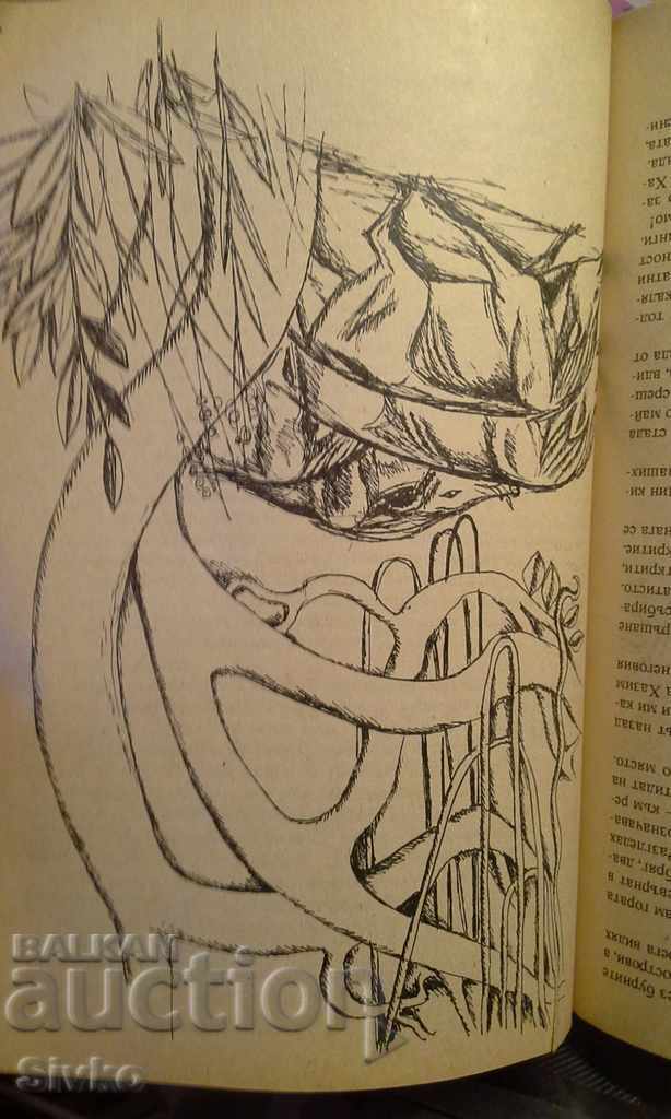 Jungle stories, illustrations with price 1.69 BGN | € 0.86 Jungle stories, illustrations with price 1.69 BGN | € 0.86