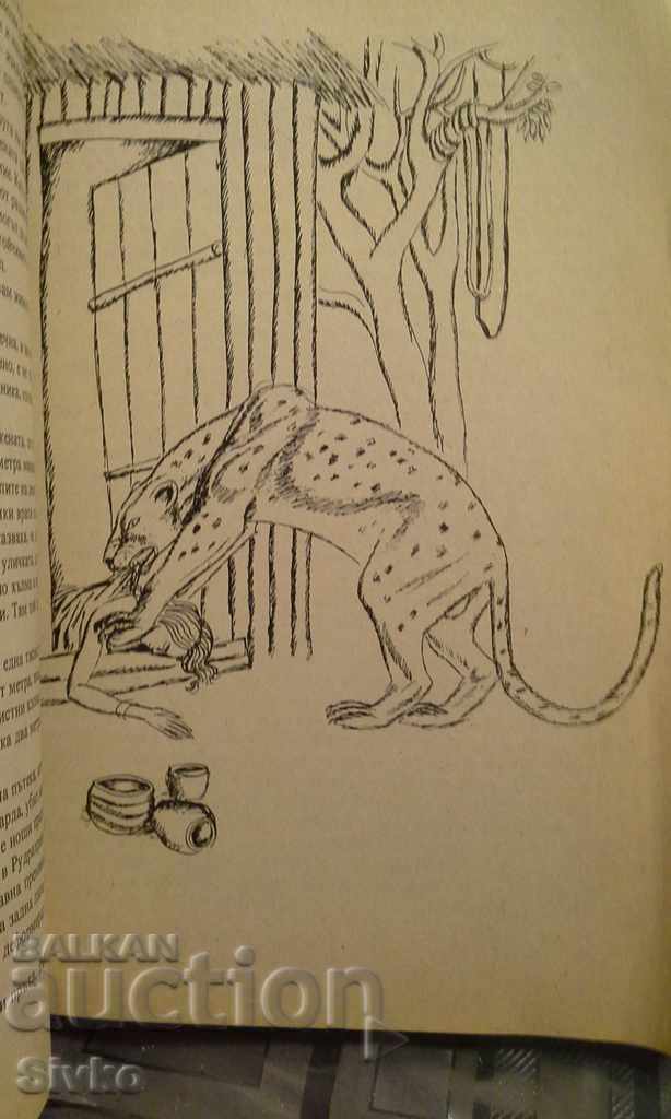 Delivery of Jungle stories, illustrations Delivery of Jungle stories, illustrations