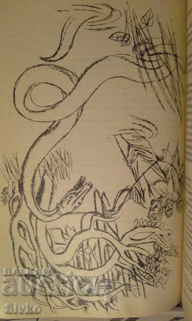 Jungle stories, illustrations - 6 Jungle stories, illustrations - 6