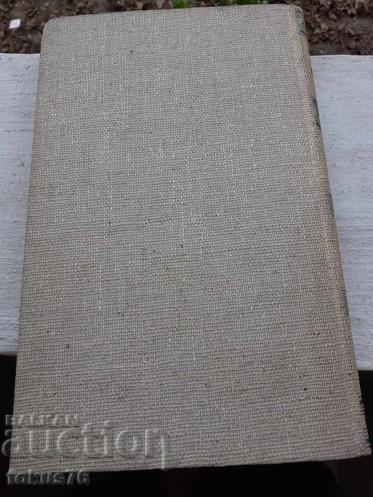 Стара немска книга - 5 Стара немска книга - 5