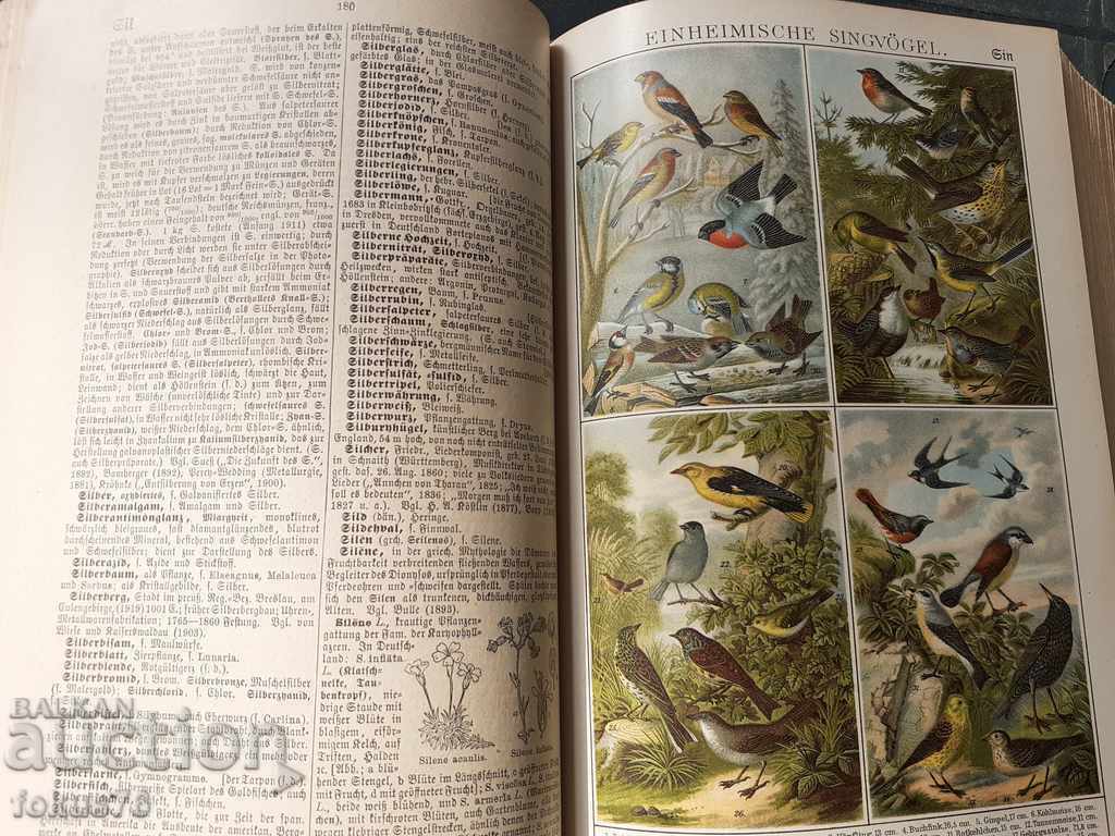 BROCKHAUS ENCYCLOPEDIA - 6 BROCKHAUS ENCYCLOPEDIA - 6