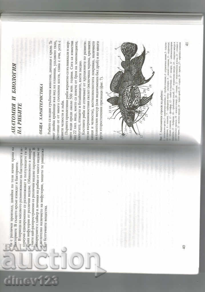 Auction  AQUARIUM FISH - G. NIKOLOV