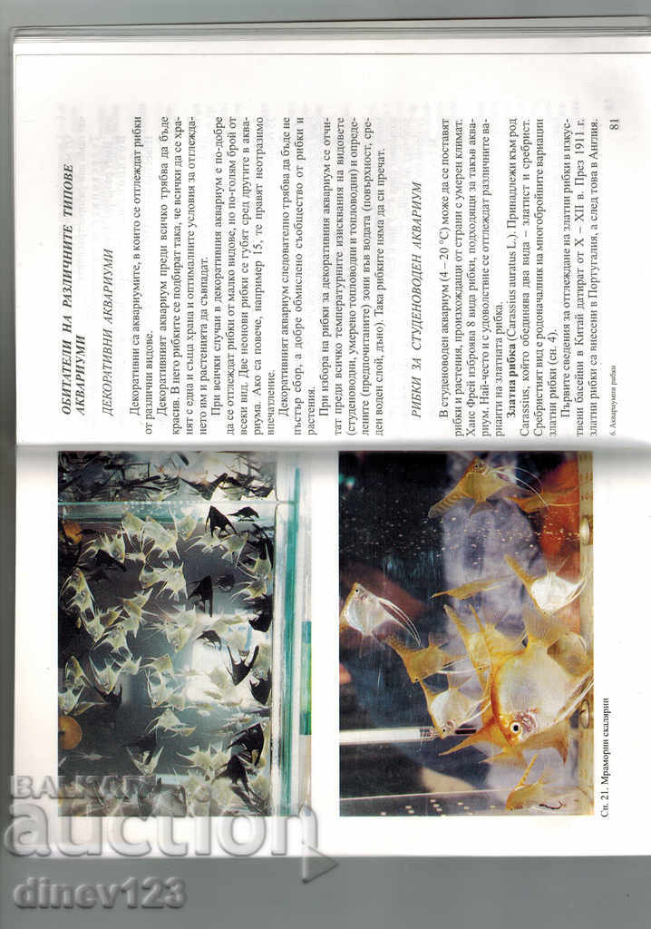 Delivery of AQUARIUM FISH - G. NIKOLOV