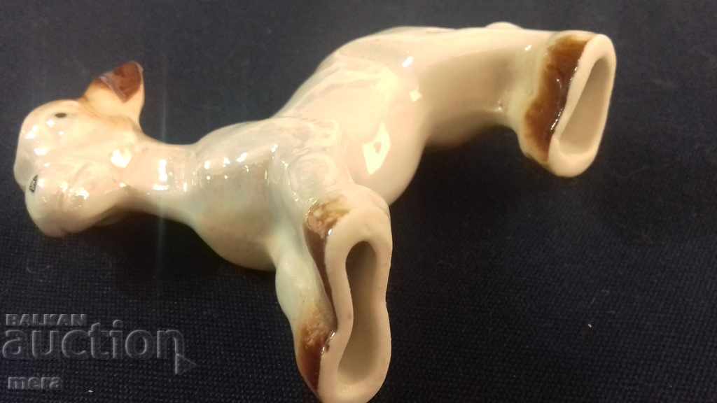 Κατσικίσιο πορσελάνης - 6 Κατσικίσιο πορσελάνης - 6