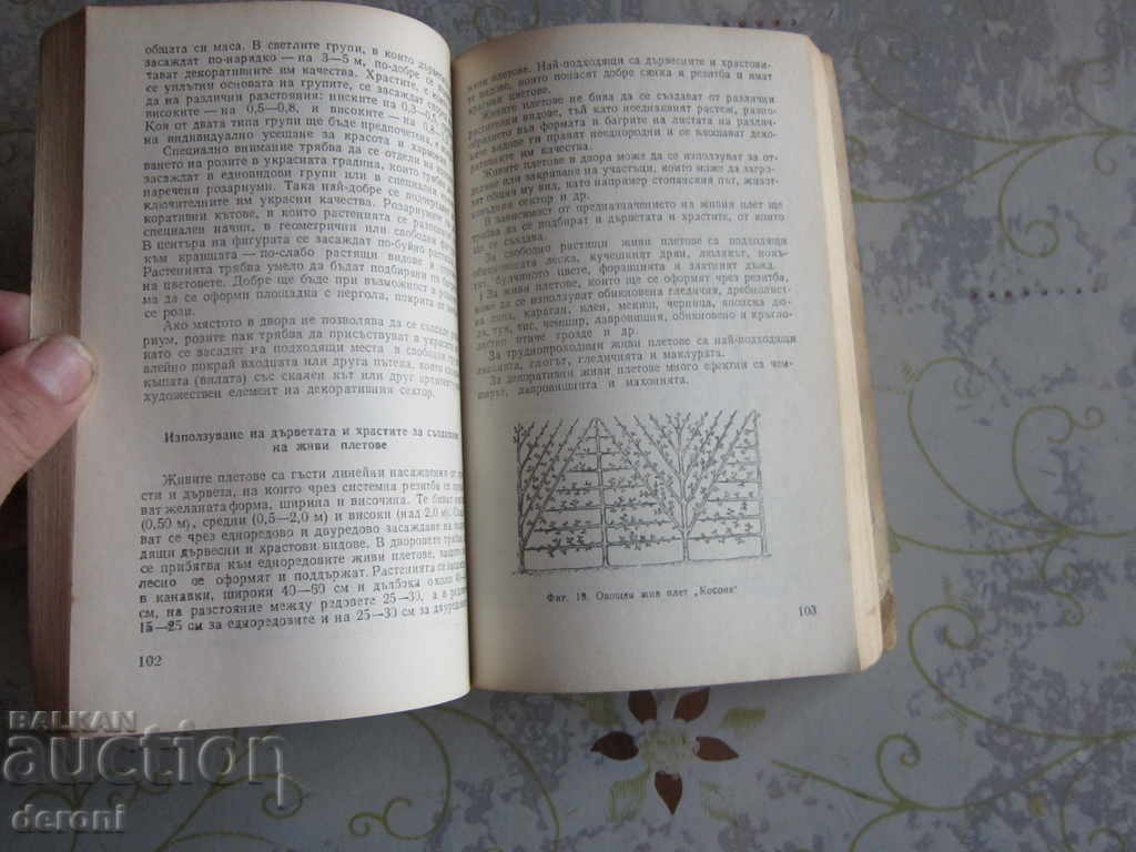 Licitație Rezervați Curtea și locul de vacanță Licitație Rezervați Curtea și locul de vacanță