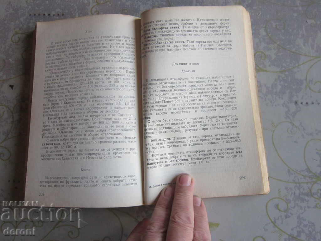 Rezervați Curtea și locul de vacanță - 5 Rezervați Curtea și locul de vacanță - 5