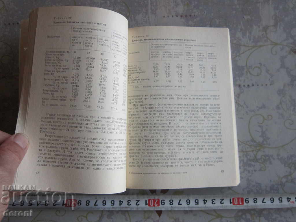 Auction  Book Intensive production of lamb and skewers