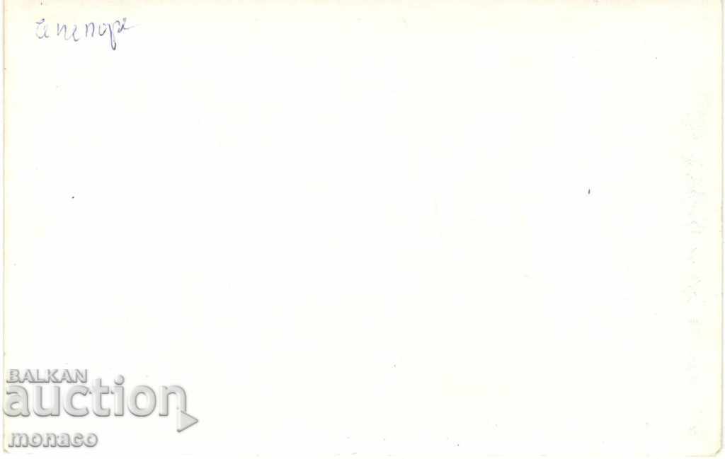Old postcard - Chepelare, General view with price 1.70 BGN | € 0.87 Old postcard - Chepelare, General view with price 1.70 BGN | € 0.87