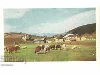 Παλιά καρτ-ποστάλ - Ρίλα, κοντά στο χωριό Γοβεντάρτσι