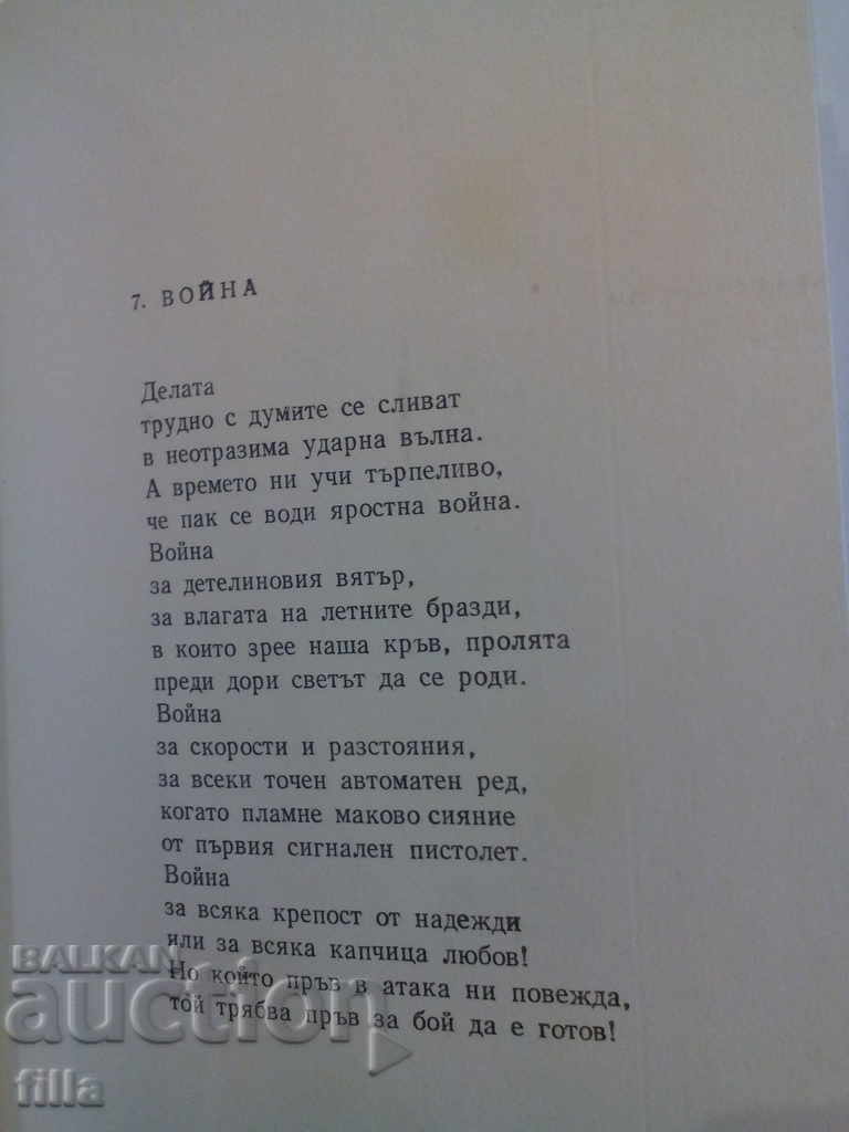 Auction Cypress shade - Evstati Burnaski Auction Cypress shade - Evstati Burnaski