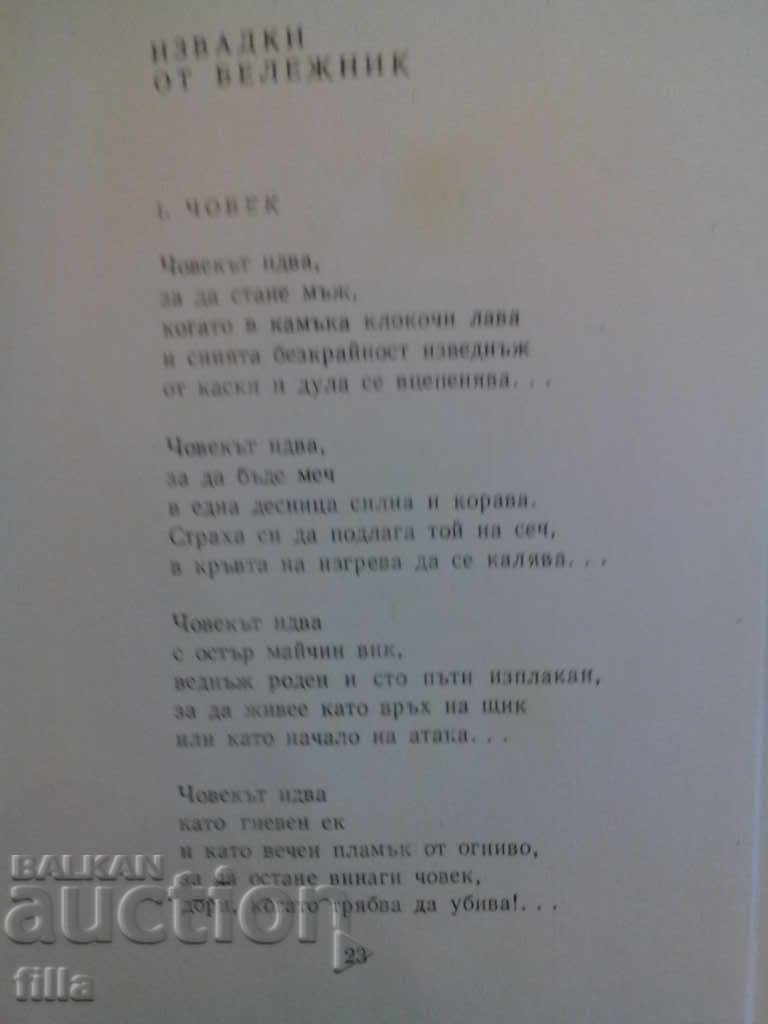 Delivery of Cypress shade - Evstati Burnaski Delivery of Cypress shade - Evstati Burnaski