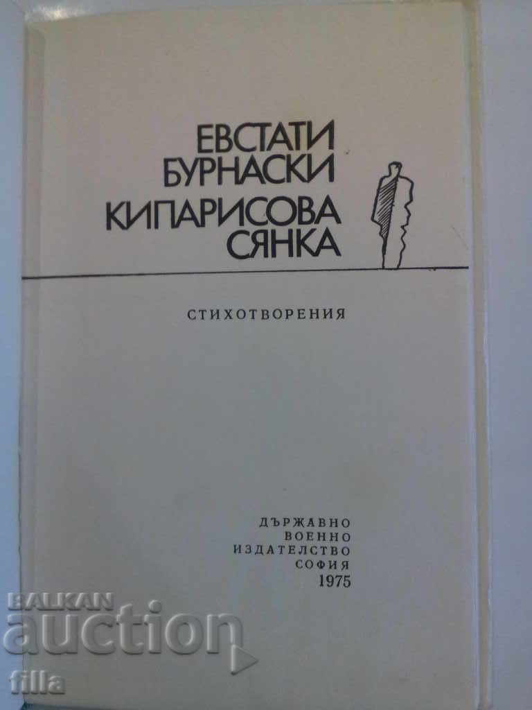 Cypress shade - Evstati Burnaski - 5 Cypress shade - Evstati Burnaski - 5