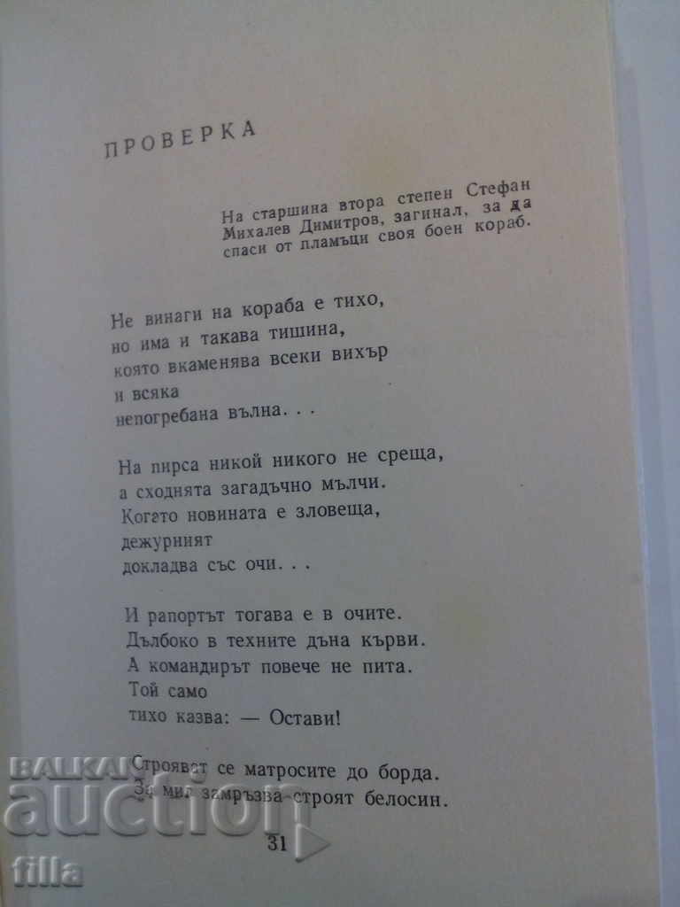 Cypress shade - Evstati Burnaski - 6 Cypress shade - Evstati Burnaski - 6